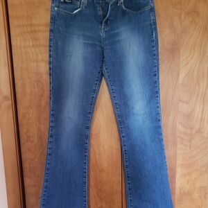 Baby Phat Classic Blue Jeans